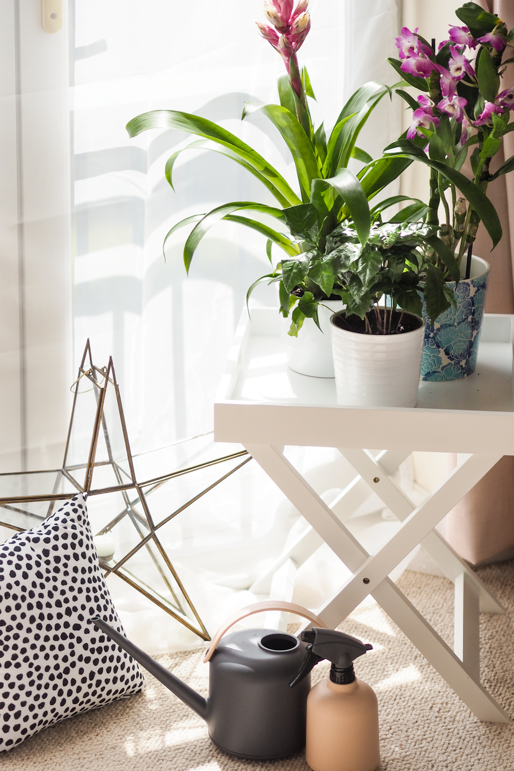 Today I'm sharing how to create an indoor garden in your city apartment, when outdoor space is something you crave. Teaming up with Lazy Flora, discover more about their indoor plant subscription service. Today I'm sharing how to create an indoor garden in your city apartment, when outdoor space is something you crave. Teaming up with Lazy Flora, discover more about their indoor plant subscription service.