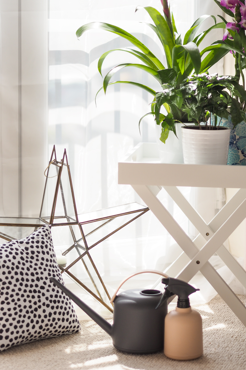 Today I'm sharing how to create an indoor garden in your city apartment, when outdoor space is something you crave. Teaming up with Lazy Flora, discover more about their indoor plant subscription service. Today I'm sharing how to create an indoor garden in your city apartment, when outdoor space is something you crave. Teaming up with Lazy Flora, discover more about their indoor plant subscription service.